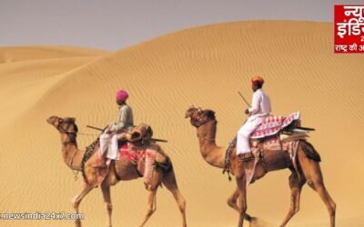 राजस्थान से अब आसानी से ले जा सकेंगे ऊंट, सरकार ने जारी किए नए नियम