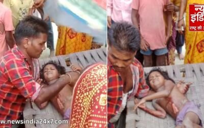 बहराइच में आदमखोर भेड़िये का आतंक जारी, 6 साल की बच्ची पर हमला, अब तक 6 की मौत