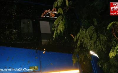 वडोदरा में बड़ा हादसा टला: बेमौसम बारिश में एसटी बस खाई में गिरी, ड्राइवर-कंडक्टर बाल-बाल बचे!