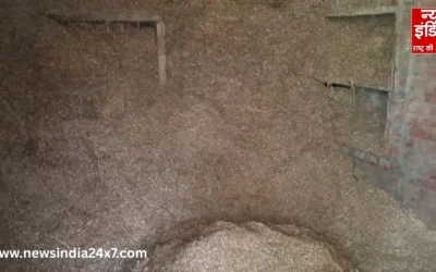 चंदौली में मासूम की मौत से दहशत: भूसे के ढेर में मिला 6 साल की बच्ची का नग्न शव, कुरकुरे पैकेट और गुटखे के पाउच से बढ़ा शक