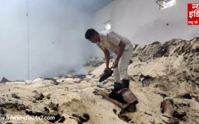 गम्हरिया के सरकारी गोदाम में भीषण आग! लाखों का अनाज राख, प्रबंधक झुलसे, साजिश की बू से मचा हड़कंप