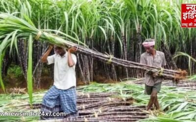 गन्ना किसानों को बड़ी सौगात, योगी सरकार ने बढ़ाया गन्ना का दाम, अब इतने रुपये प्रति क्विंटल मिलेगा भुगतान