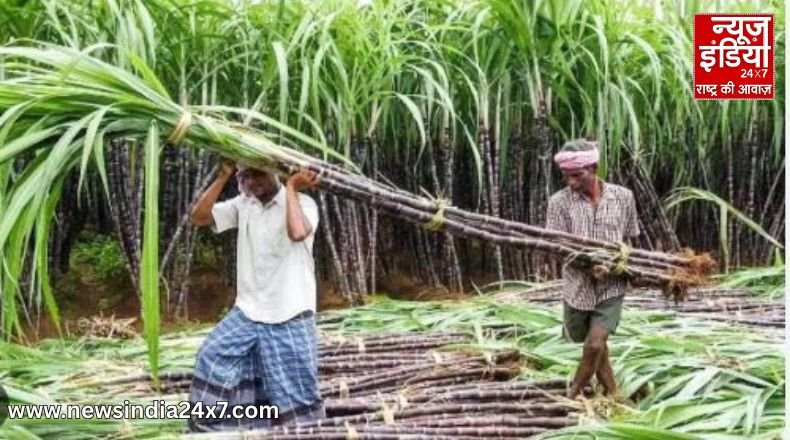 Uttar Pradesh News Uttar Pradesh News