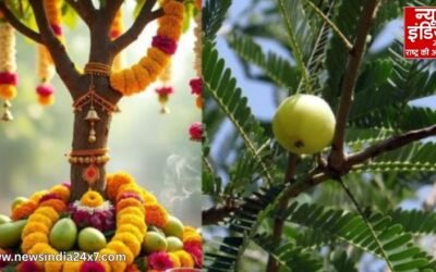 Amla Navami 2025 : कब मनाई जाएगी आंवला नवमी, जानिए इसका महत्व और पूजन विधि