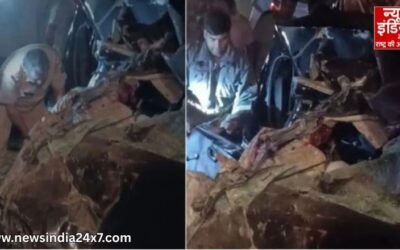 बरेली में सड़क हादसा : ईको वैन और बस की भिड़ंत में 3 की मौत, 8 घायल