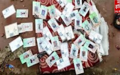 Voter List OTP Scam: BLO बने स्कैमर्स का नया निशाना, वोटर लिस्ट अपडेशन के नाम पर OTP ठगी बढ़ी