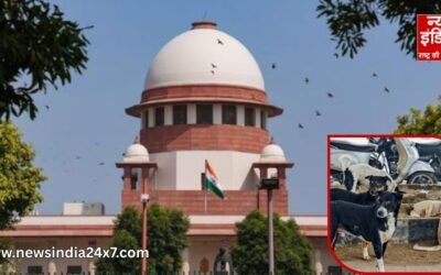 सड़कों से आवारा कुत्तों को हटाएं…. SC का अल्टीमेटम; तीन अहम आदेश जारी, लागू करने की डेडलाइन तय!