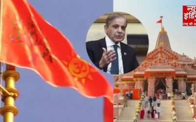 India’s Reply To PAK: अयोध्या ध्वजारोहण विवाद पर भारत का करारा जवाब, पाकिस्तान को दिया सख्त संदेश