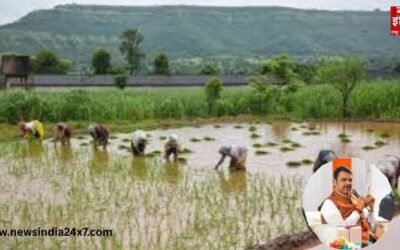 Maharashtra News: 2025 मानसून में तबाही के बाद महाराष्ट्र सरकार ने किसानों को बड़ी राहत दी