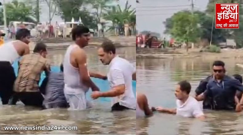 बेगूसराय में राहुल गांधी का अलग अंदाज; तालाब में उतरे, मछुआरों संग पकड़ी मछली, देखें video