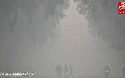 हरियाली और साफ पानी से लेकर हवा तक, राजधानी क्यों बन गई जहरीली गैस चेंबर?