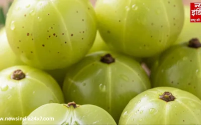 रोज सिर्फ 1 भाप में पका आंवला करेगा कमाल, 5 बड़े फायदे जो बदल देंगे आपकी सेहत