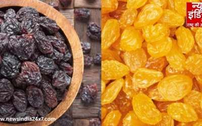 सर्दियों में किसमें छुपी है असली ताकत? किशमिश या मुनक्का, आखिर कौन है ज्यादा असरदार?