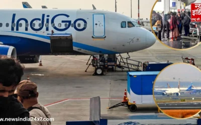 उड़ान रद्द और देरी के बाद इंडिगो ने उठाया बड़ा कदम, विशेषज्ञ करेंगे जांच