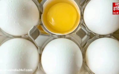 अंडा फ्रेश या बासी? जानिए घर बैठे तीन आसान तरीकों से पहचान