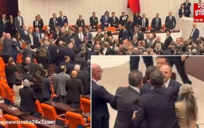 तुर्की संसद में हाथापाई, बजट वोटिंग के दौरान जमकर चले लात-घूसे, सांसद की भयंकर भिड़ंत!