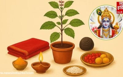 Tulsi Pujan 2025: जड़ में अर्पित करें ये खास चीज, मां लक्ष्मी और विष्णु जी की विशेष कृपा से खुलेगी किस्मत