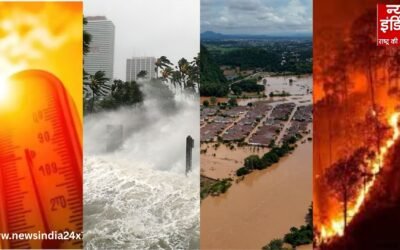 2025 में प्राकृतिक आपदाओं का कहर, दुनिया ने भुगता अरबों डॉलर का नुकसान! पढ़े विनाशकारी घटनाओं की ये रिपोर्ट