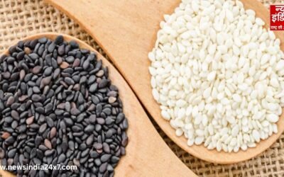 सर्दियों का सुपरफूड, काले तिल के चौंकाने वाले फायदे, जानें पोषक तत्व और रोज़मर्रा में इस्तेमाल के तरीके