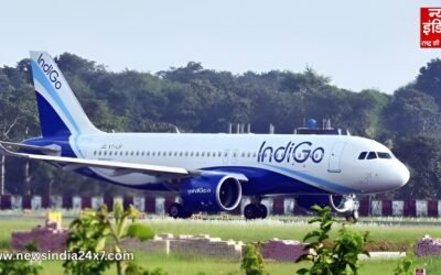 इंडिगो संकट पर हाईकोर्ट का सख्त सवाल : ‘आप क्या कर रहे थे, स्थिति पैदा क्यों होने दी?’