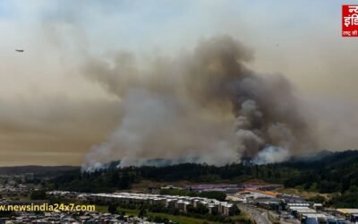 चिली के जंगलों में आग लगने से 18 लोगों की मौत, राष्ट्रपति गेब्रियल ने ऐक्शन लेते हुए घोषित की इमरजेंसी