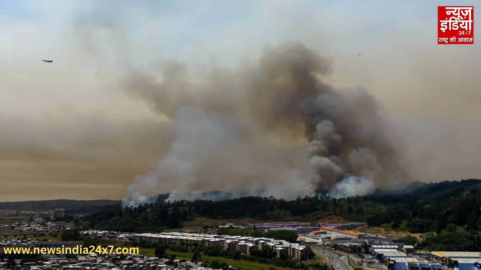 चिल्ली के जंगल एरिया में भयंकर आग फैल गई है