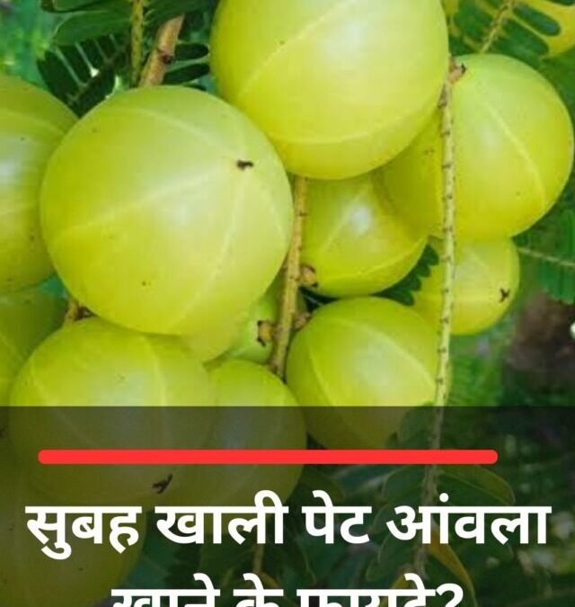 सुबह खाली पेट आंवला खाने के फायदे?
