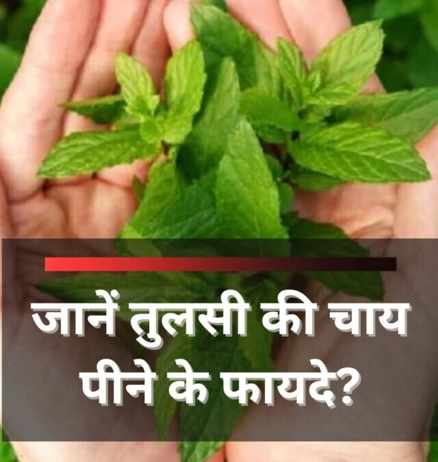 जानें तुलसी की चाय पीने के फायदे?