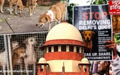 ‘खिलाते हैं तो जिम्मेदारी भी लें…’ Dog Bite पर सुप्रीम कोर्ट का सख्त संदेश, सरकार और डॉग लवर्स दोनों पर गिरेगी गाज