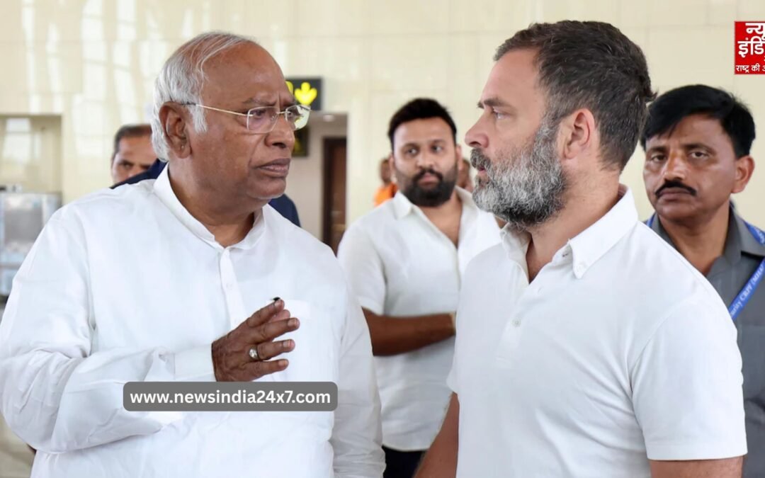 राज्यसभा चुनाव : उच्च सदन में बढ़ेगी कांग्रेस की ताक़त, ये नाम हैं रेस में