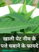 खाली पेट नीम के पत्ते चबाने के फायदे
