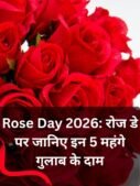 rose day 2026