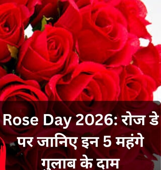 Rose Day 2026: इन  महंगे गुलाबों के दाम जानकर चौंक जाएंगे आप!