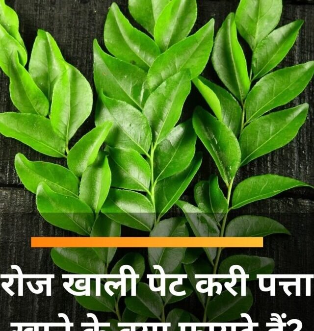 रोज खाली पेट करी पत्ता खाने के क्या फायदे हैं?