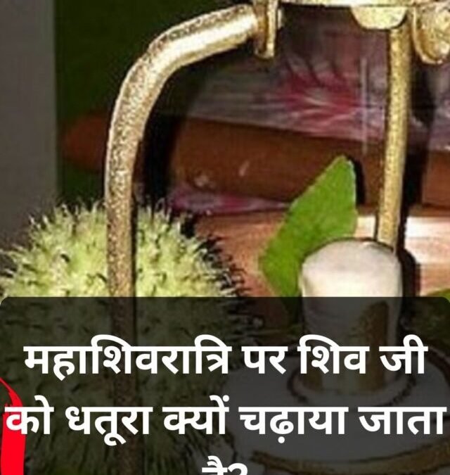 महाशिवरात्रि पर धतूरा क्यों चढ़ाते हैं? जानें वजह