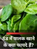 ठंड में पालक खाने के क्या फायदे हैं?