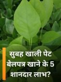 सुबह खाली पेट बेलपत्र खाने के 5 शानदार लाभ?