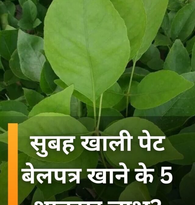 सुबह खाली पेट बेलपत्र खाने के 5 शानदार लाभ?