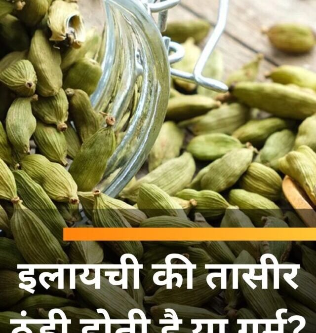 इलायची की तासीर ठंडी होती है या गर्म?
