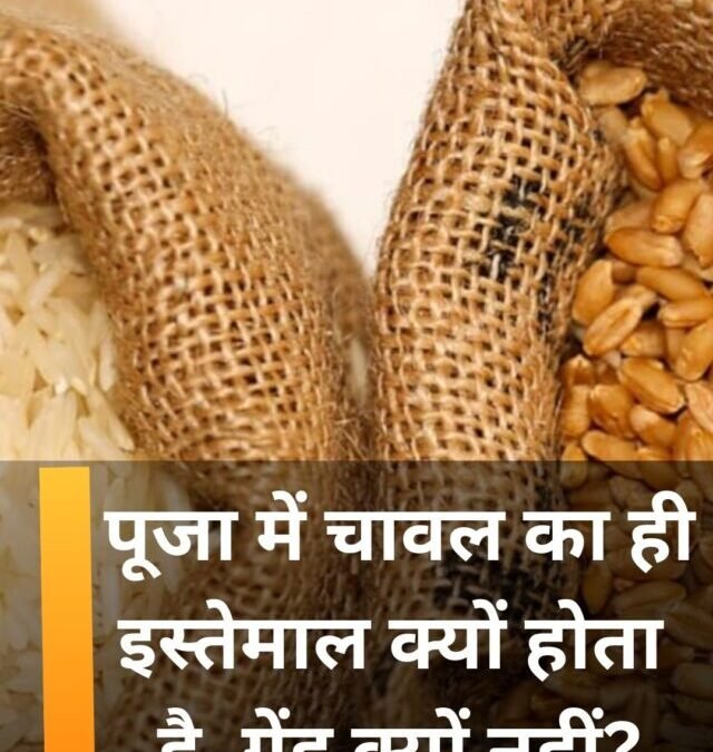 पूजा में चावल का ही इस्तेमाल क्यों होता है, गेंहू क्यों नहीं?