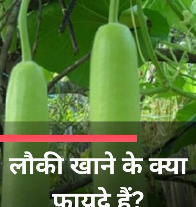 लौकी खाने के क्या फायदे हैं?