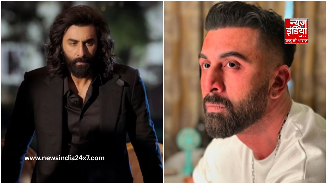 Animal Park Sequel Animal Park Sequel