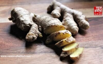 असली और केमिकल वाली अदरक की पहचान कैसे करें? जानें आसान और कारगर तरीका