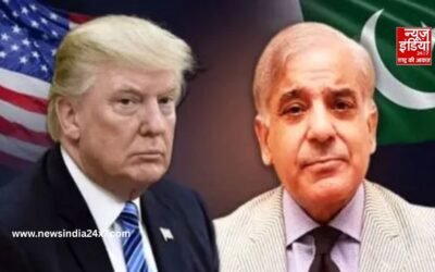 ट्रंप को पाकिस्तान में मिला बड़ा खनिज खजाना! 1.3 अरब डॉलर निवेश करेगा अमेरिका, जानें क्या है प्रोजेक्ट वॉल्ट