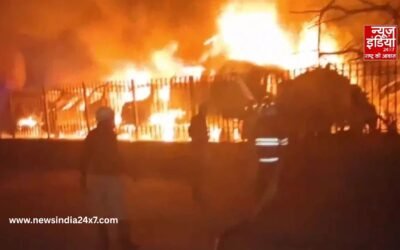 दिल्ली के शाहदरा में MCD पार्किंग में लगी भयानक आग, 20 से ज्यादा गाड़ियां जलकर खाक