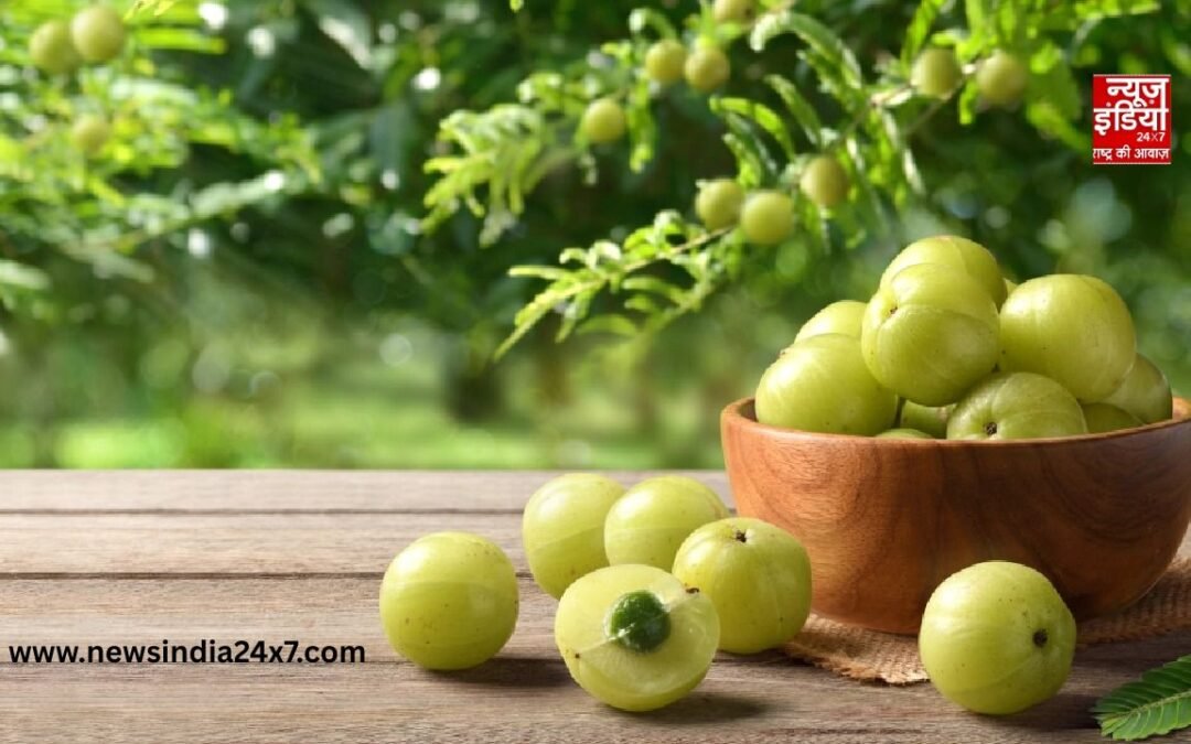 Amalaki Ekadashi 2026: आमलकी एकादशी पर अपनाएं ये आसान टिप्स, पाएं आर्थिक समृद्धि और जीवन में खुशियाँ