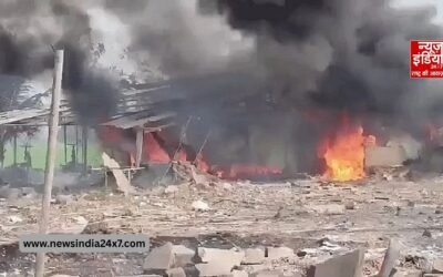 धान के खेतों तक उड़े शव… आंध्र प्रदेश में पटाखा फैक्ट्री में भीषण धमाके से 18 की मौत