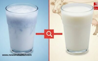 Milk Adulteration: दूध में पानी या मिलावट, घर पर ऐसे करें जांच