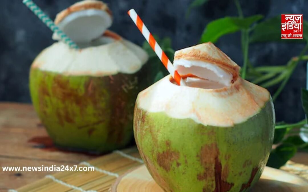 क्या आप भी सुबह पीते हैं नारियल पानी? जान लें इसके जबरदस्त फायदे