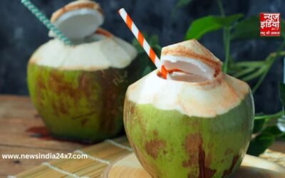 क्या आप भी सुबह पीते हैं नारियल पानी? जान लें इसके जबरदस्त फायदे